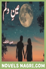 Ain e Dilam Novel By Ain Fatima