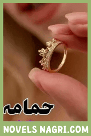 Hammamah Novel By Hajra Idrees