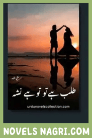 Talab Hai Tu Tu Hai Nasha Novel By Areej Shah