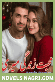 Muhabbat Zindagi Meri Novel By Arooba Nazneen