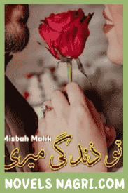 Tu Zindagi Hai Novel By Misbah Malik
